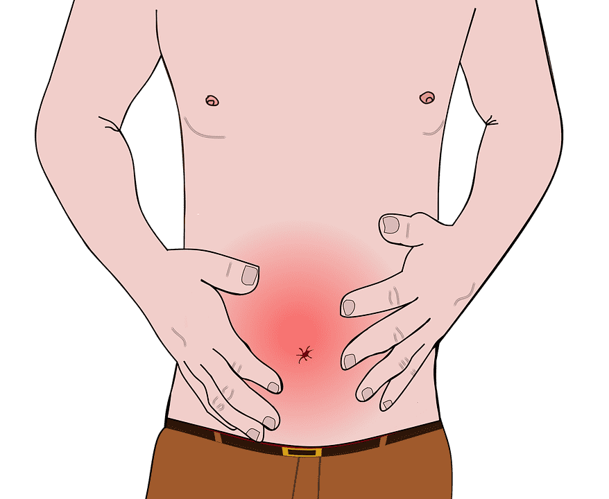 digestive problems (flatulence, constipation, diarrhea, gas, stomach pain