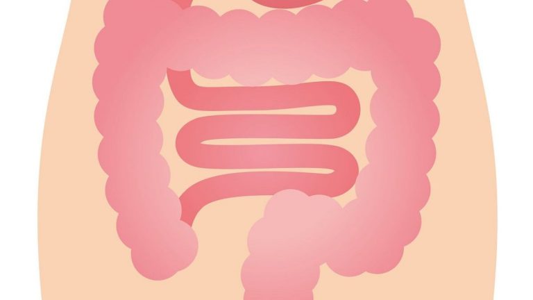 Digestive Health