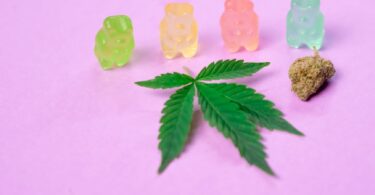 photo of gummy bears on pink background