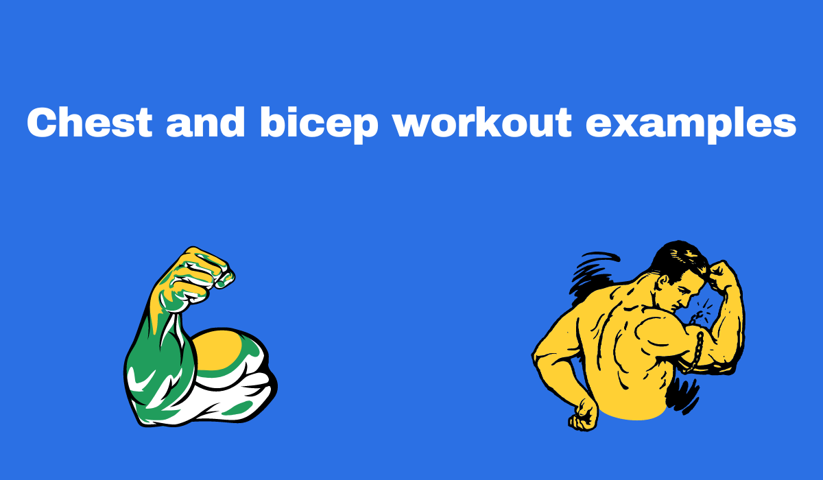 Chest and bicep workout examples