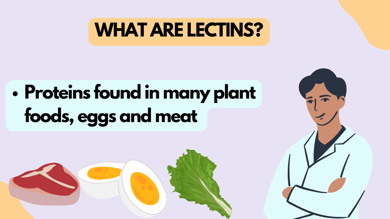 Dr. Steven Gundry Review Factchecking His Claims HealthCarter