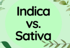 Indica vs. Sativa