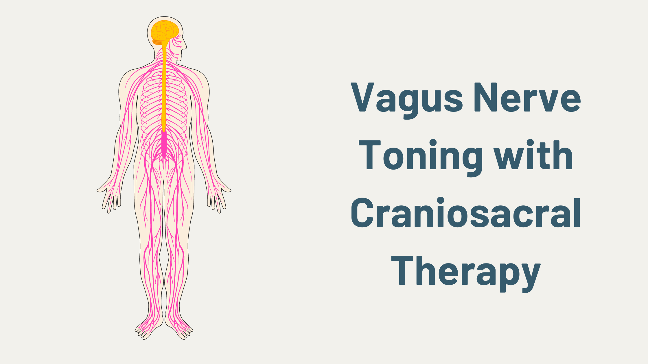Vagus Nerve Toning with Craniosacral Therapy