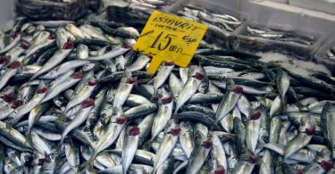 fresh anchovy on market