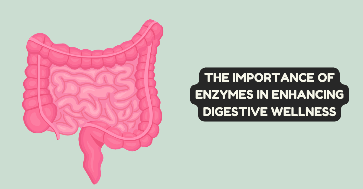 The Importance of Enzymes in Enhancing Digestive Wellness