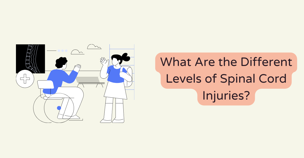 What Are the Different Levels of Spinal Cord Injuries?