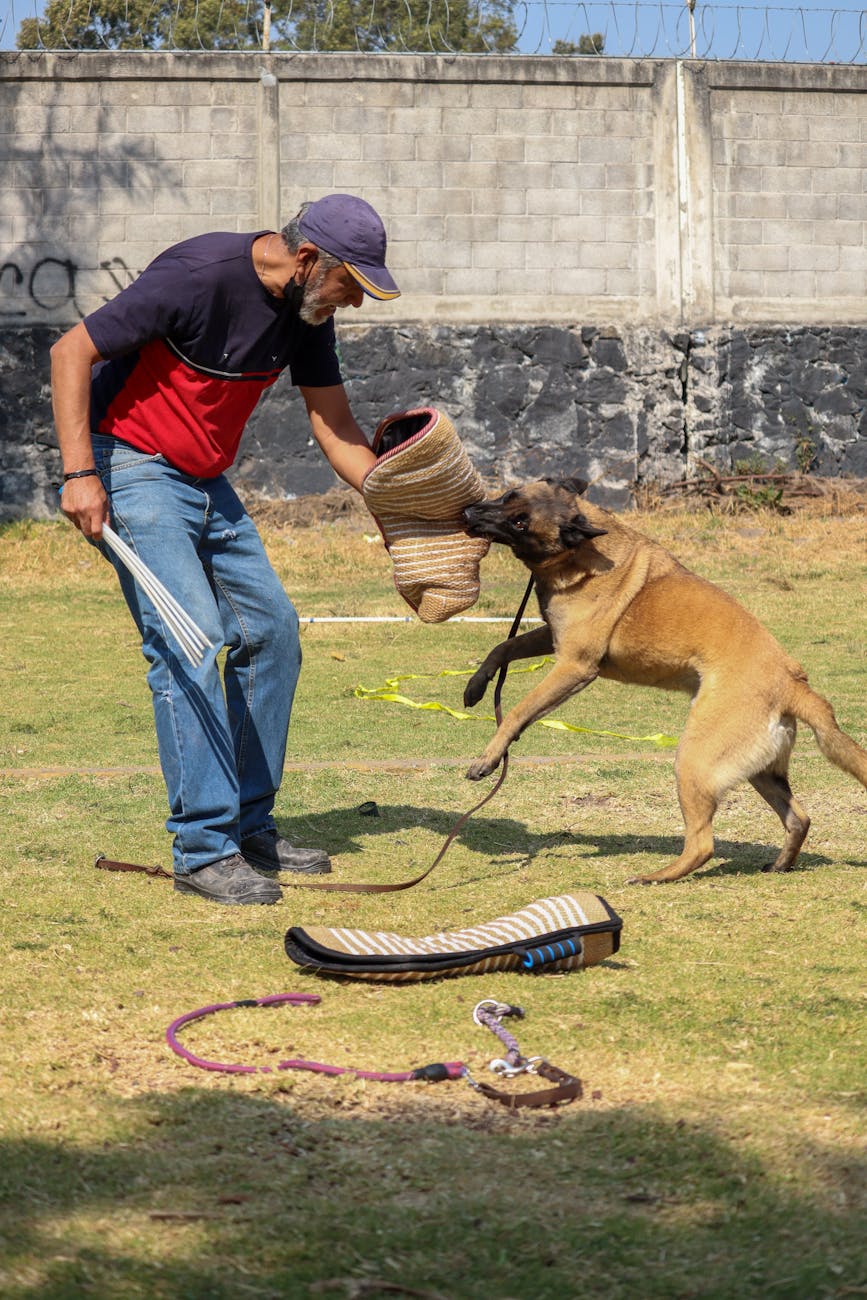 elderly man training a dog